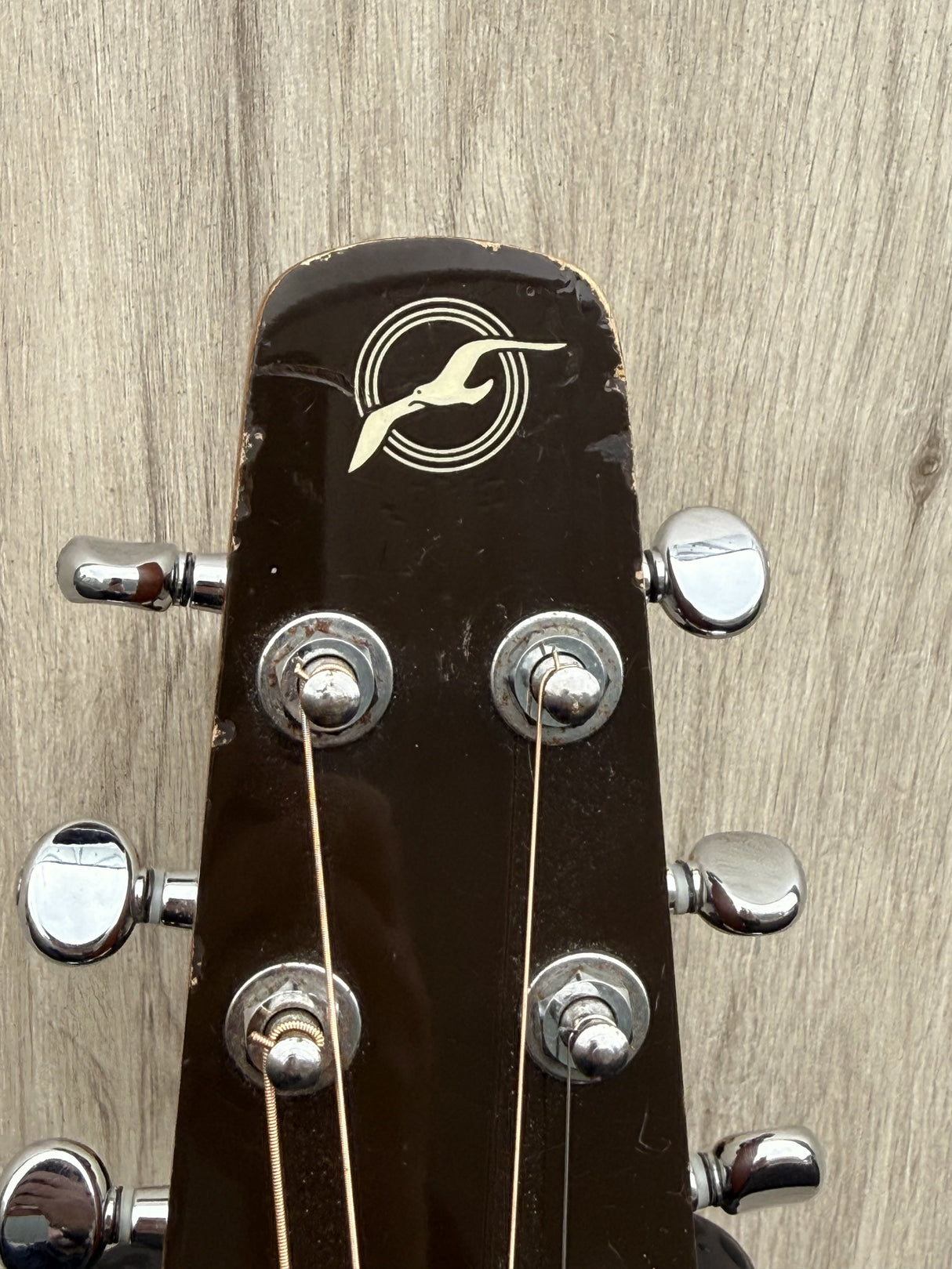 Seagull S6 Cedar GT