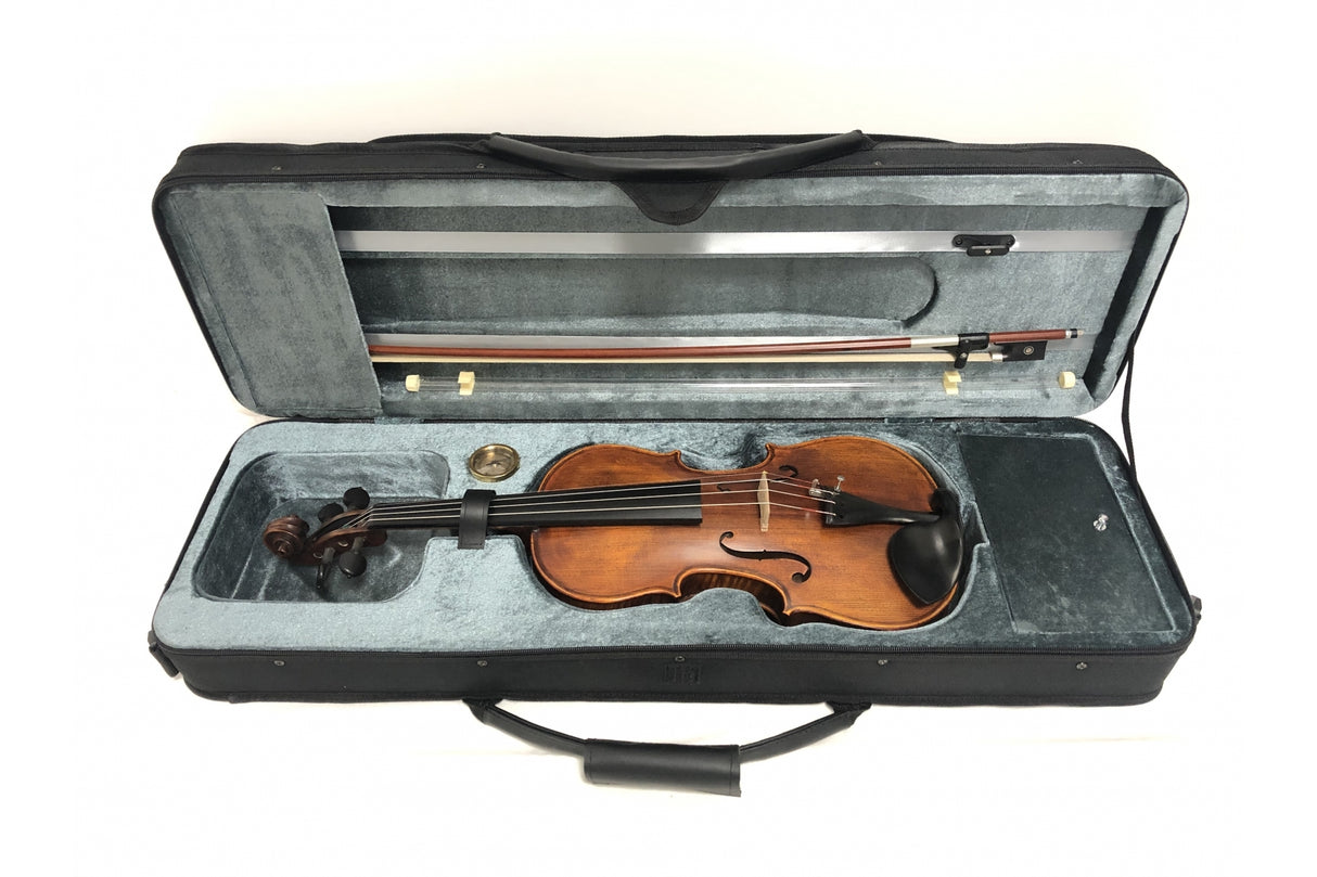 Stentor Arcadia Antiqued 4/4 Violin Outfit