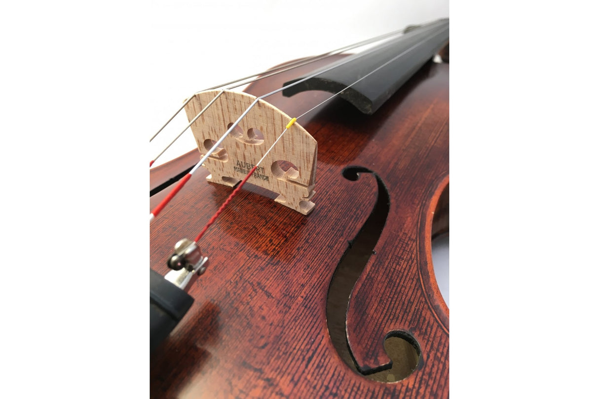 Stentor Elysia Violin 3/4