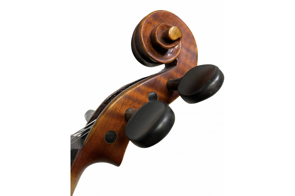 Stentor Elysia Violin 4/4