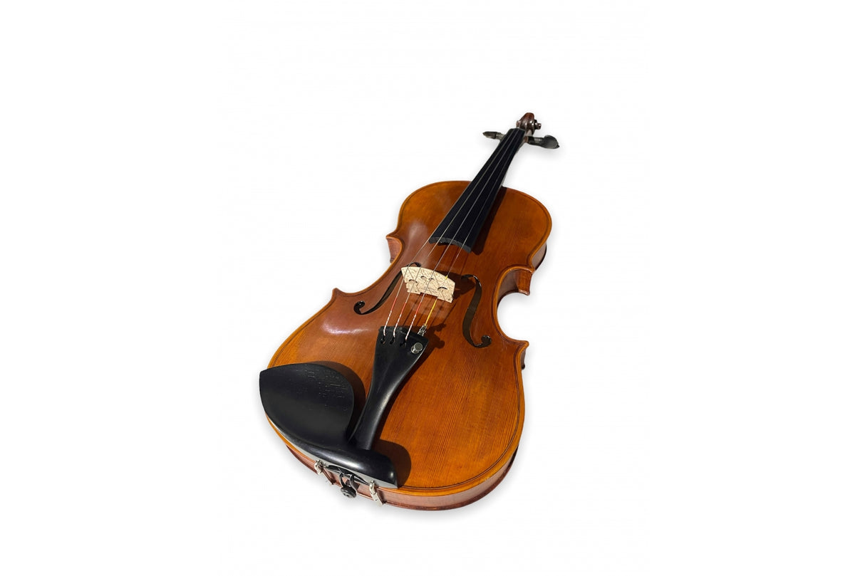 Stentor Violin Arcadia 4/4 Outfit with Carbon Fibre Case