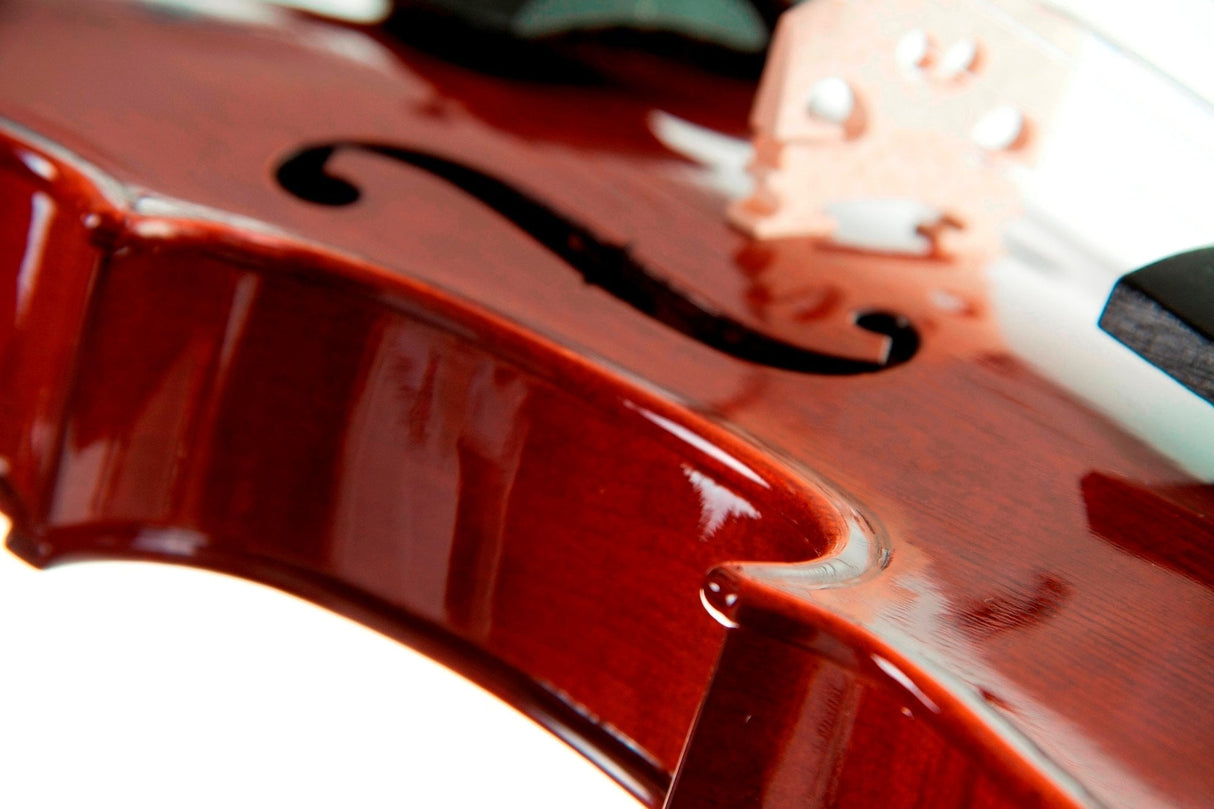 Stentor Violin Conservatoire 3/4