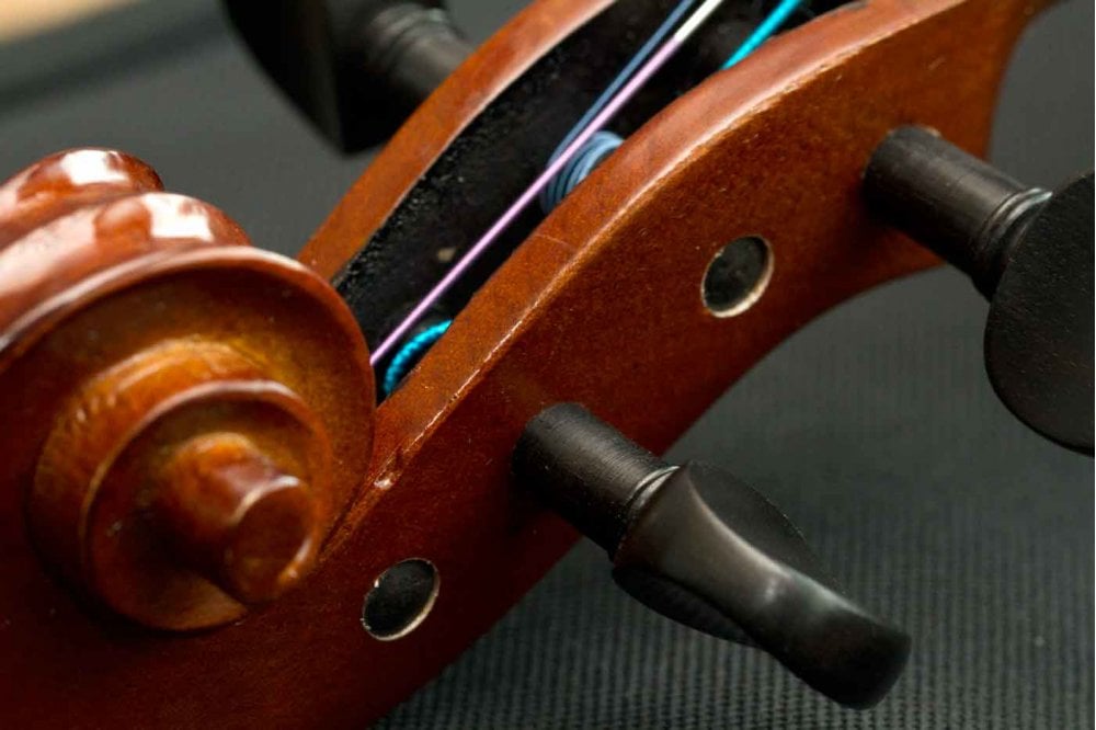 Stentor Violin O/F Graduate 1/2