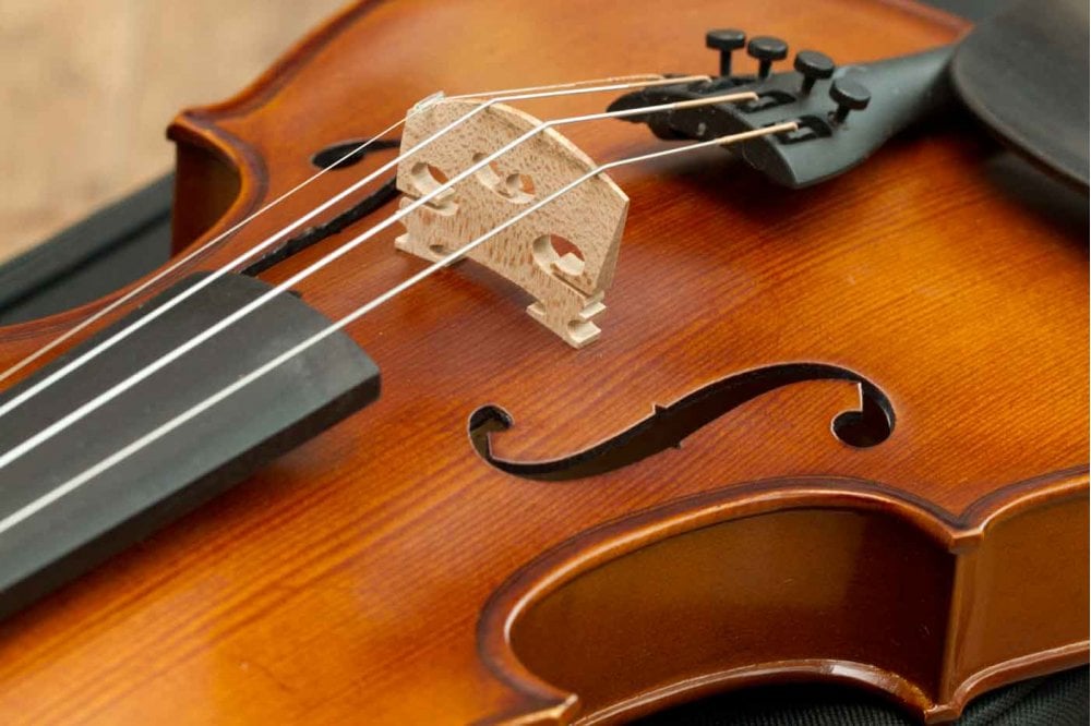 Stentor Violin O/F Graduate 1/2