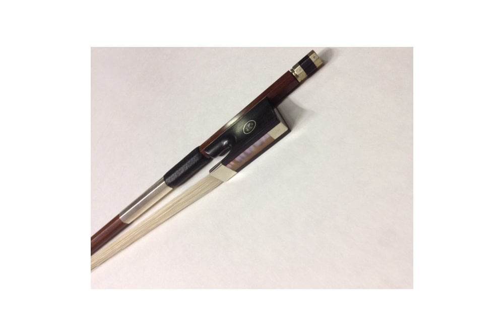 Stentor Violin Messina 4/4 Full Outfit with Pernambuco Bow