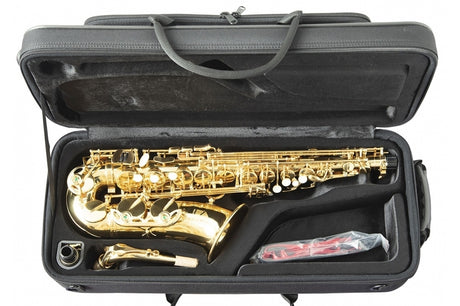 Trevor James The Horn  Alto Sax Outfit - Gold Lacquer