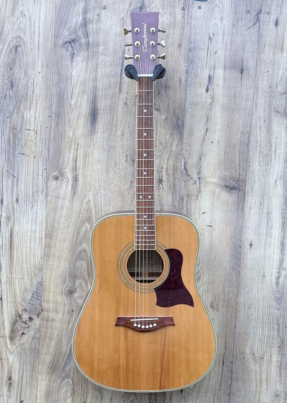 Tanglewood TW28ST-R With Passive Pickup
