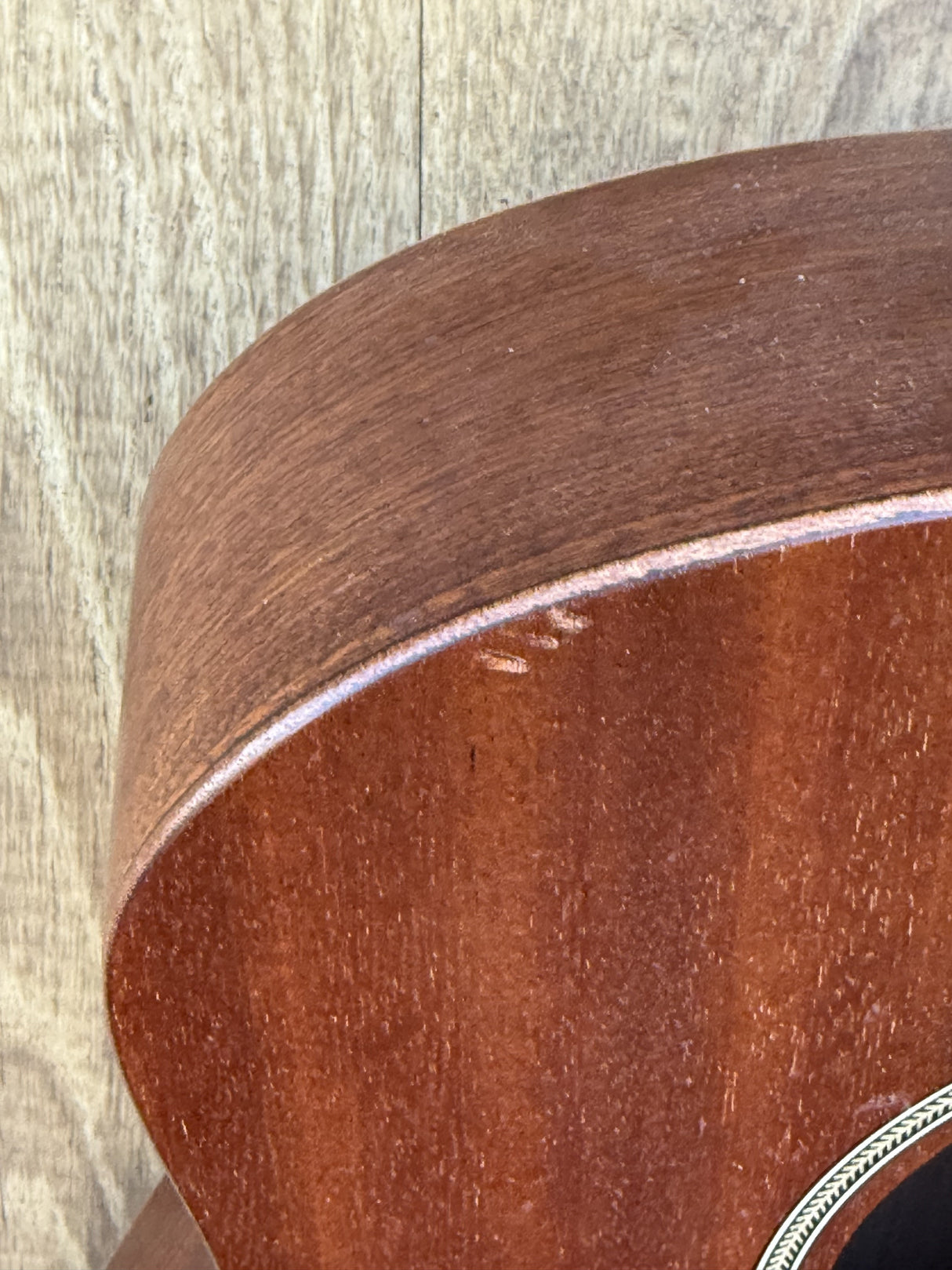 Tanglewood TW2T Winterleaf Travel Acoustic