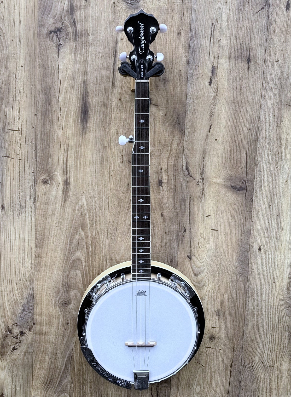Tanglewood TWB18 M5 Union Series Banjo