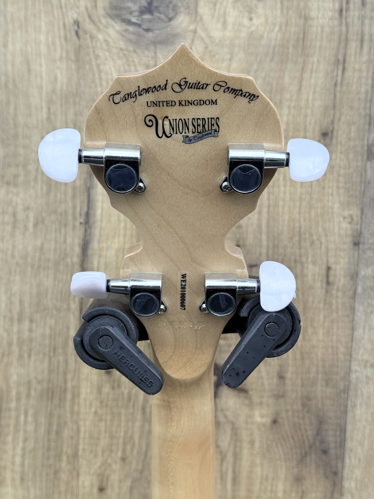 Tanglewood TWB18 M5 Union Series Banjo