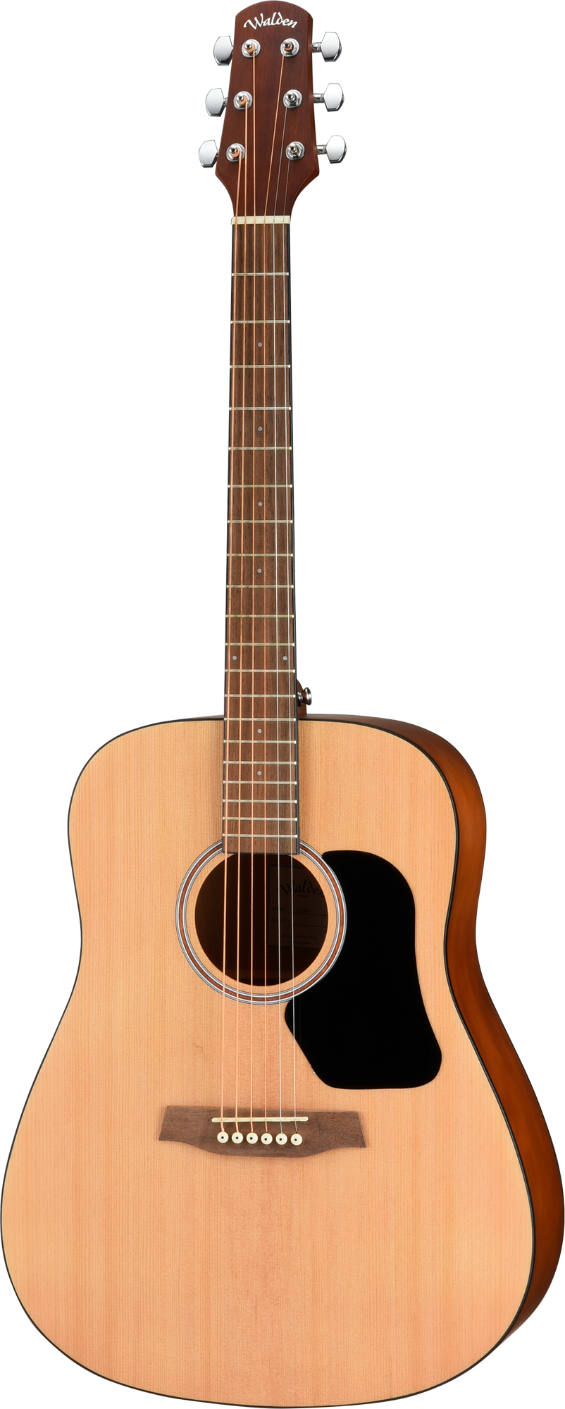 Walden D255 Hawthorne Dreadnought Acoustic - Satin