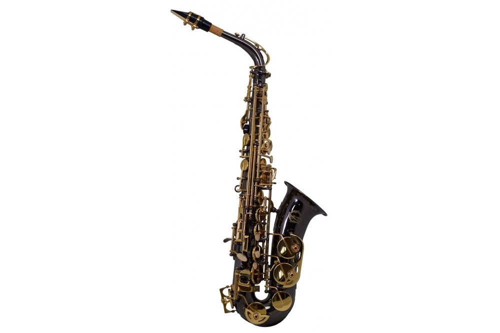 Artemis A1 Alto Sax Outfit - Black. Gold Lacquer