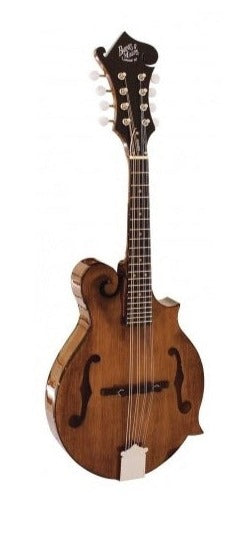 Barnes And Mullins Mandolin - Salvino Model