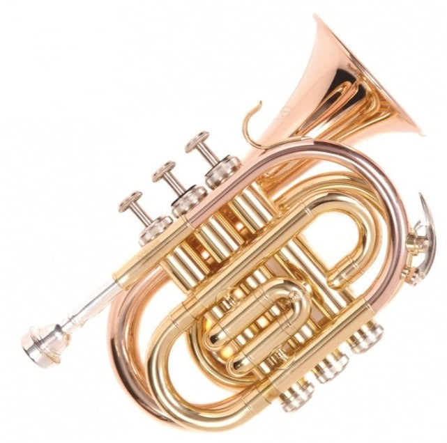 Odyssey Premiere Bb Pocket Trumpet Outfit