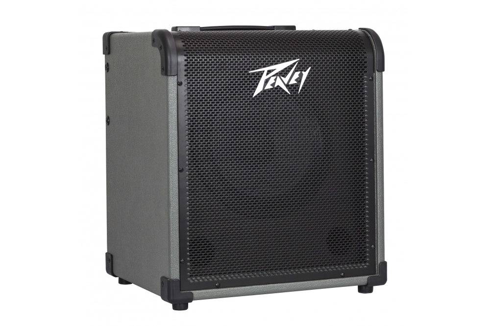 Peavey Max 100 Bass Combo