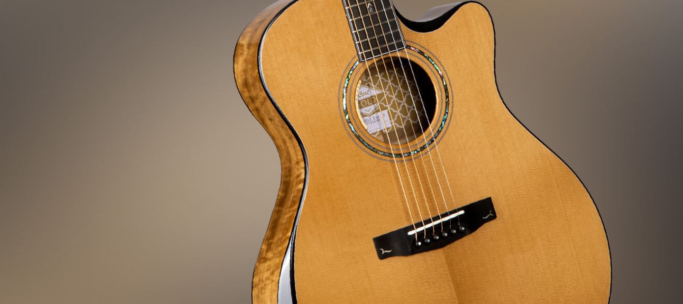 All About Cort Gold Series Guitars