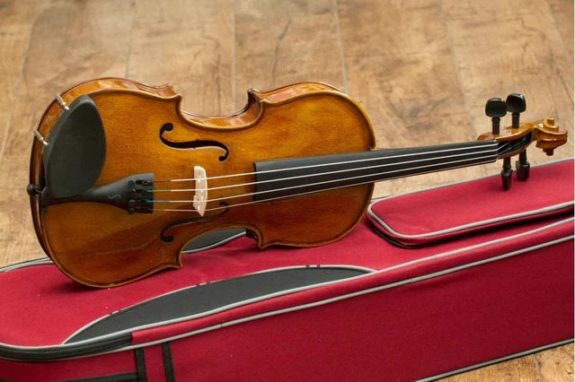 What are the best beginner violins to buy?