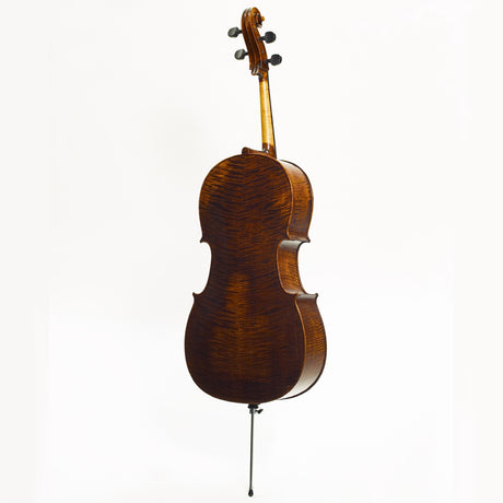 Stentor Arcadia Cello 4/4
