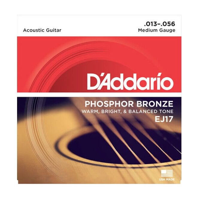 D Addario EJ17 Phosphor Bronze 13-56 Medium