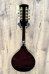 Ozark 2073 A Style Mandolin with Bag