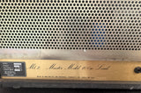 Marshall JCM800 2203 Mk2 100w Head 1985