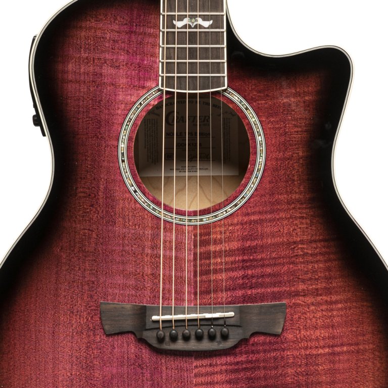 Crafter Noble TPS Electro-Acoustic Small Jumbo - Flamed Maple Transparent Purple Burst