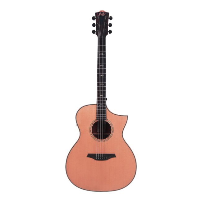Bromo Tahoma Electro Acoustic Guitar Hillside Cutaway BAT4CE