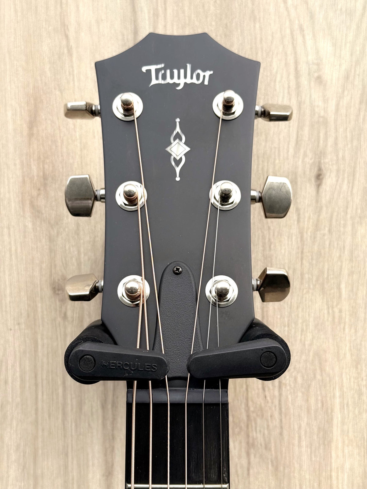 Taylor 314ce Grand Auditorium V Class 2024