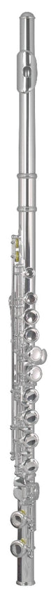 Artemis Flute Outfit - Straight Head