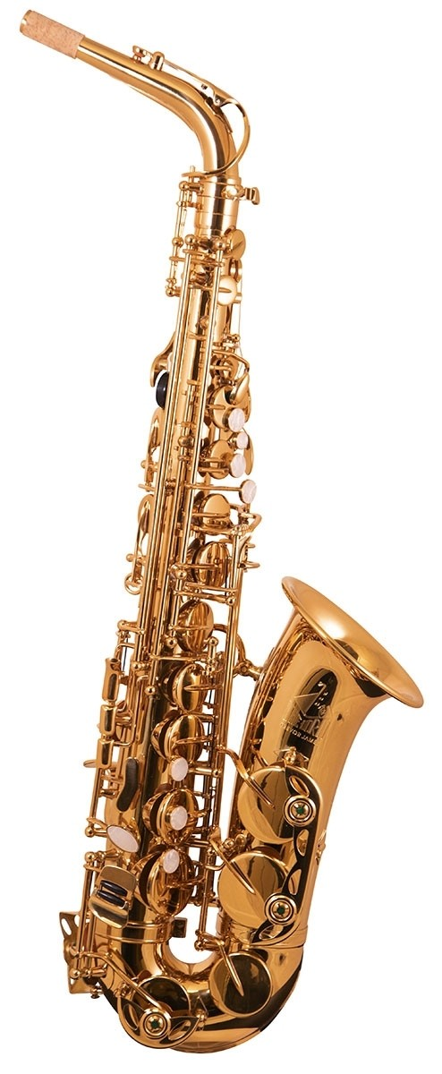 Trevor James The Horn  Alto Sax Outfit - Gold Lacquer