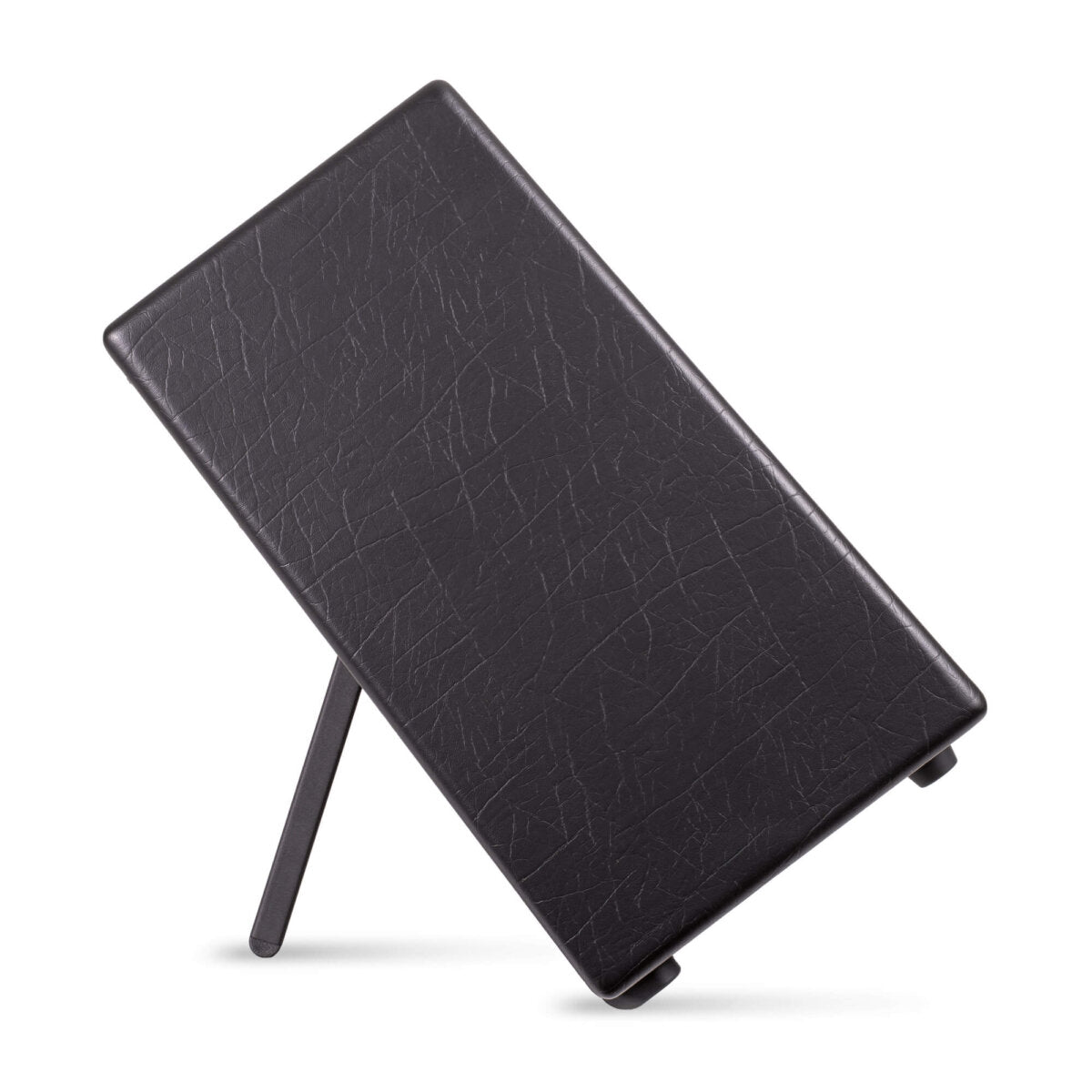 Blackstar Artist FR Special 100W Full Range Flat Response Speaker Cab