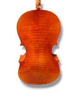 Cello Outfit 4/4