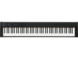 Korg D1 Digital Piano