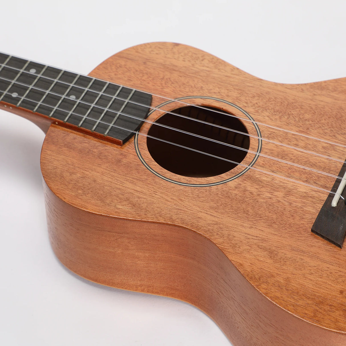 Snail DT-06A - All Solid Mahogany Matt Finish Tenor Ukulele