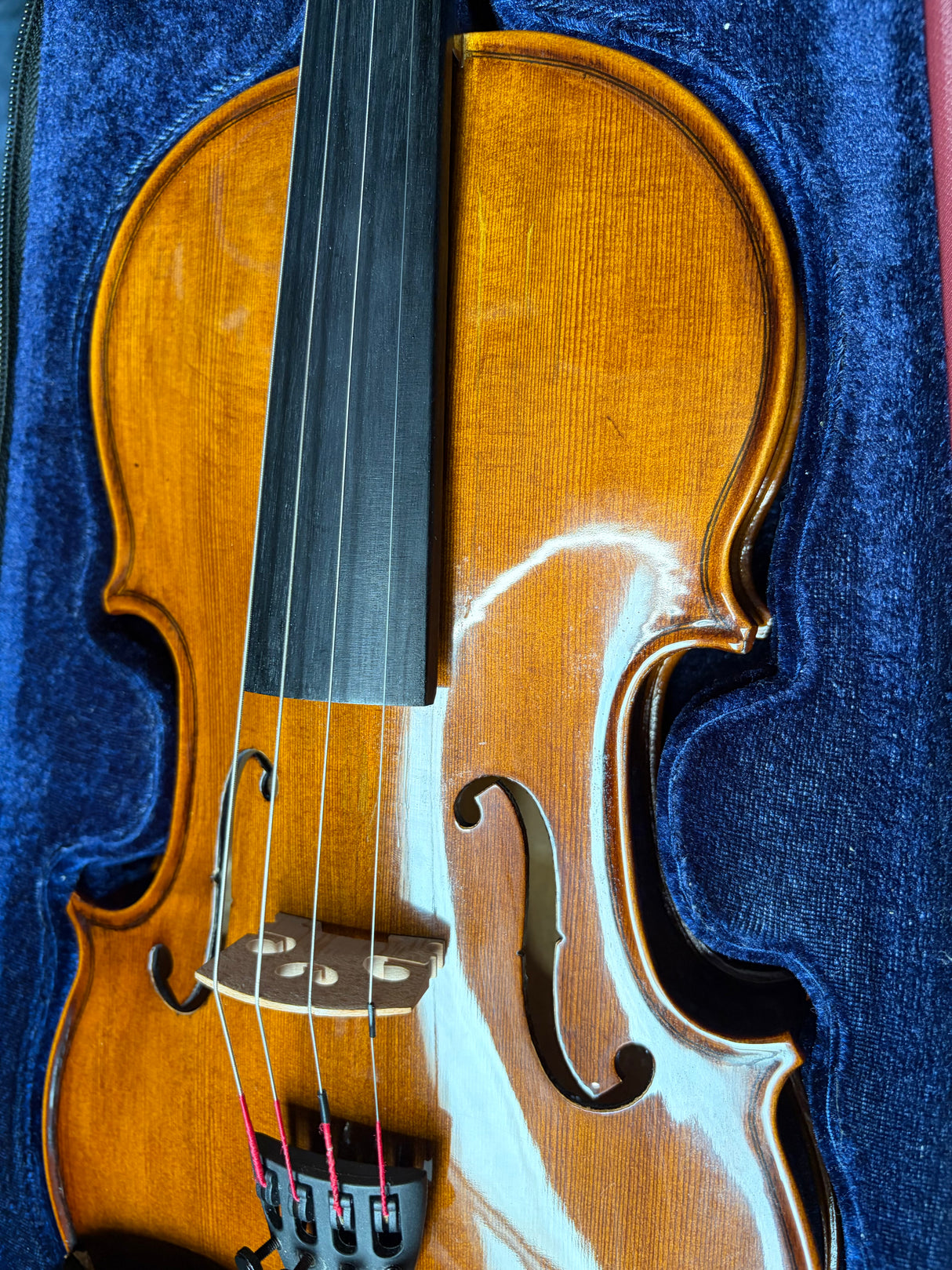 Stentor Violin Student 2 3/4