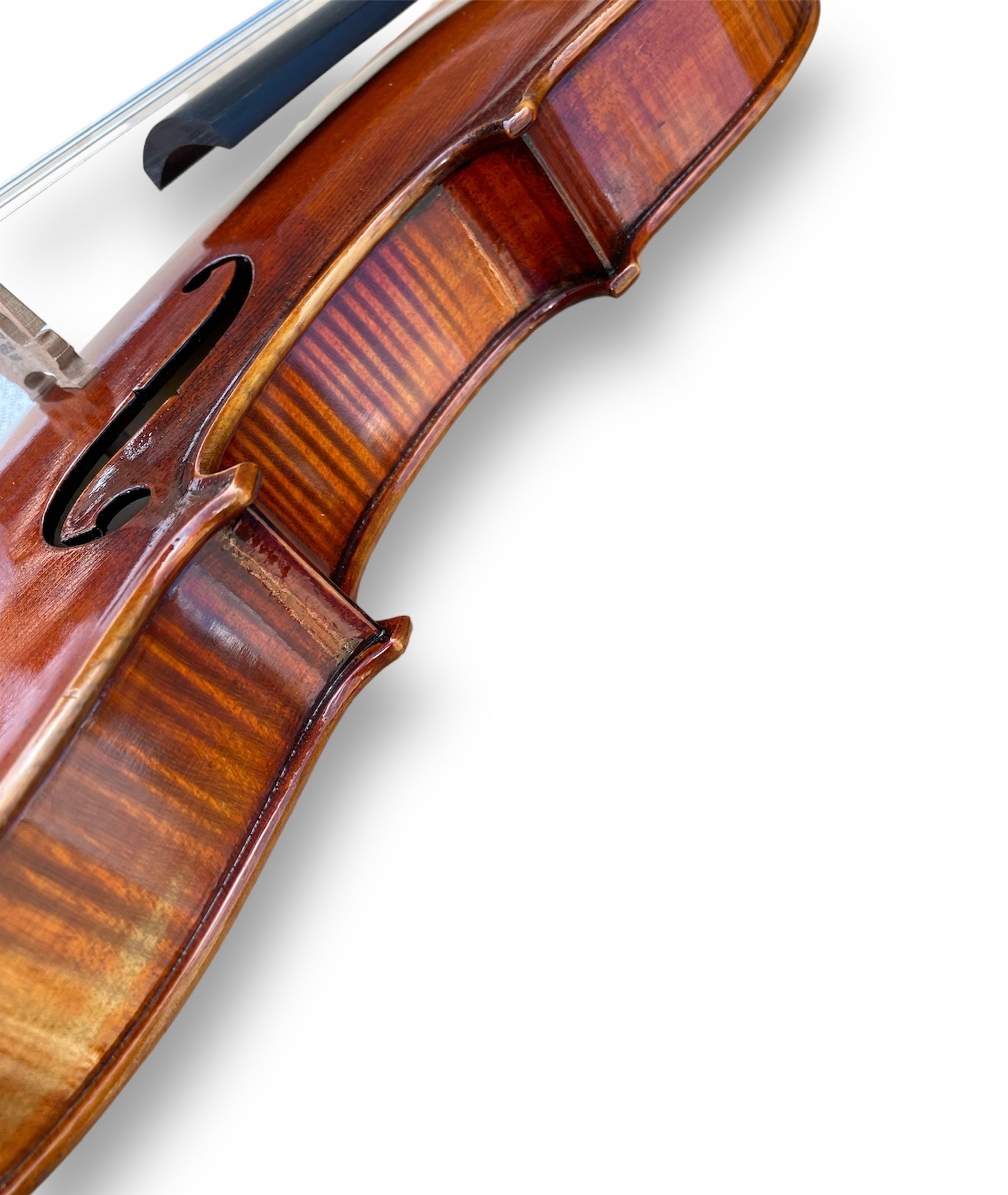 Eastman Strings Master Violin 4/4 Outfit Strad Model – Reidys Home
