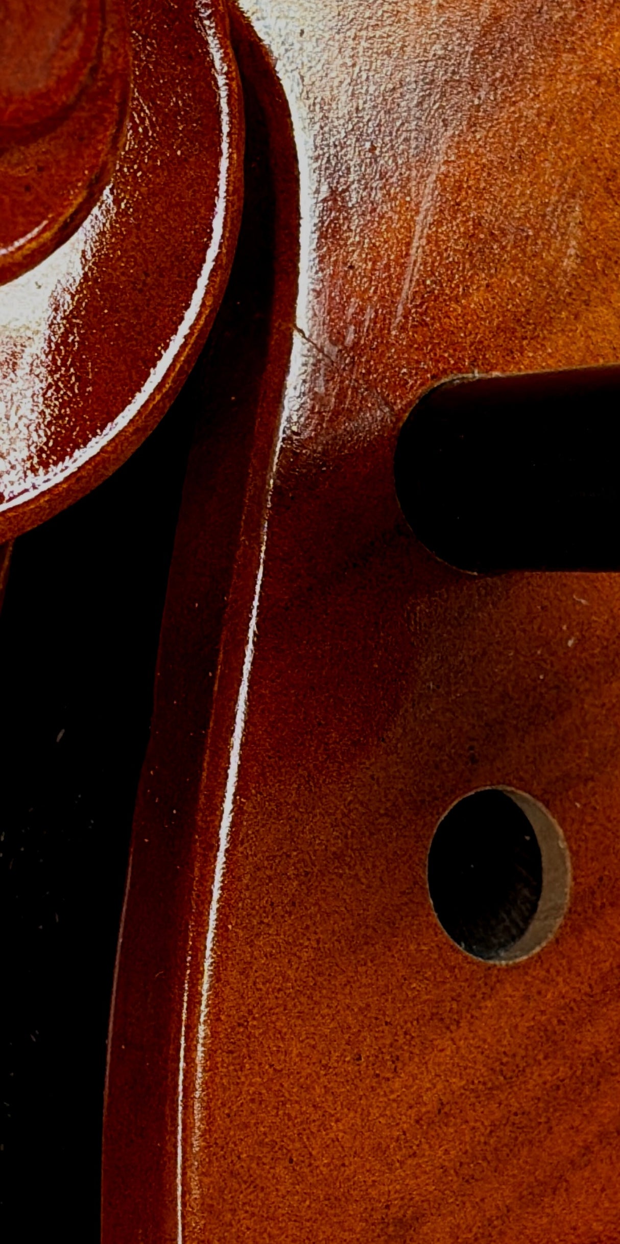 Hidersine Vivente 4/4 Cello Outfit B Stock