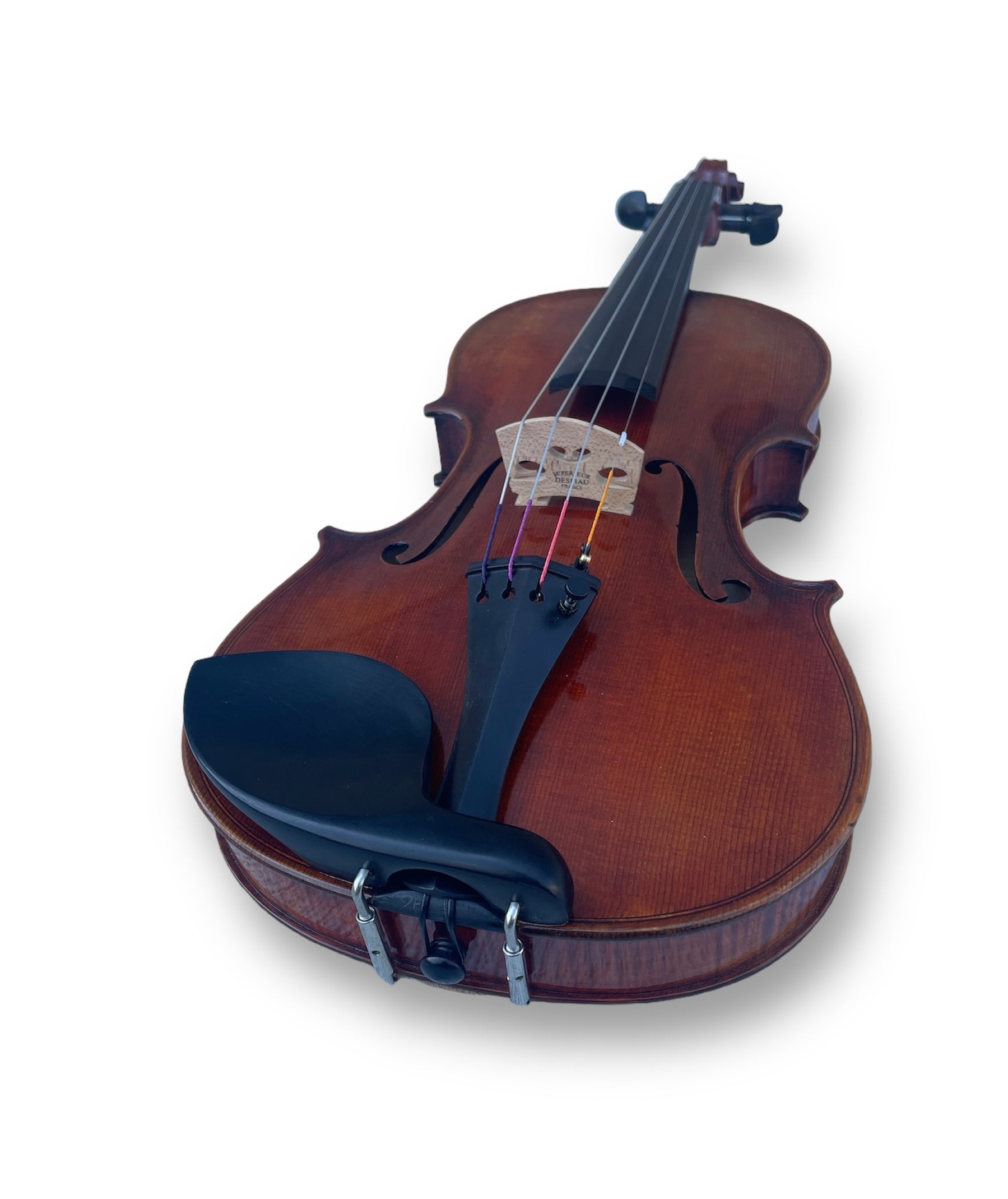 Eastman Strings Master Violin 4/4 Outfit Strad Model – Reidys Home