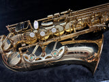 Artemis Alto Saxophone Outfit