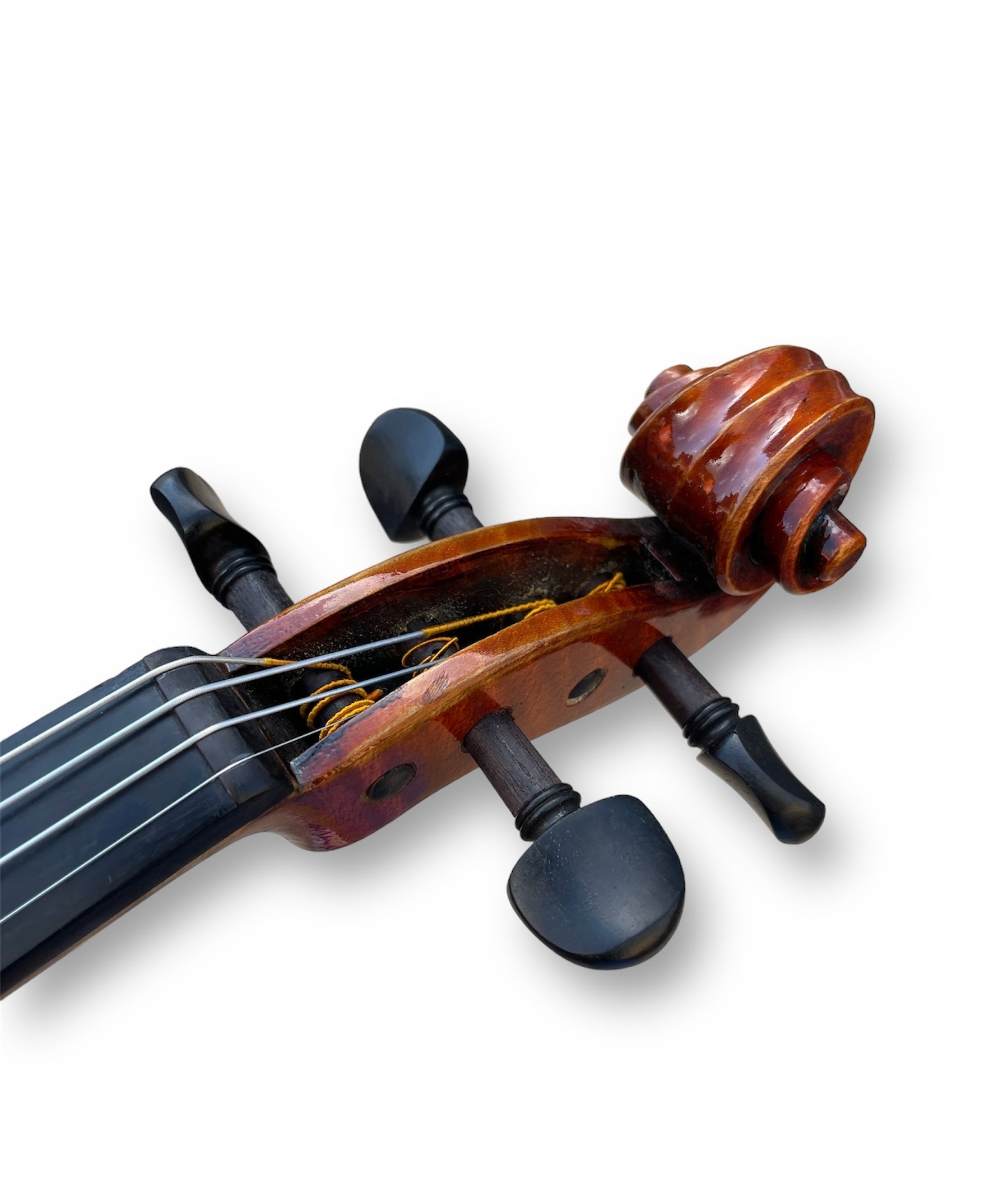 Eastman Strings Master Violin 4/4 Outfit Strad Model – Reidys Home