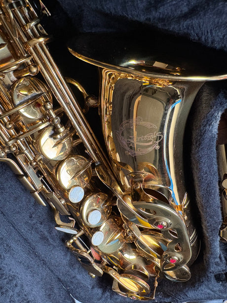 Artemis Alto saxophone outfit