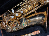 Blessing Alto Saxophone Outfit