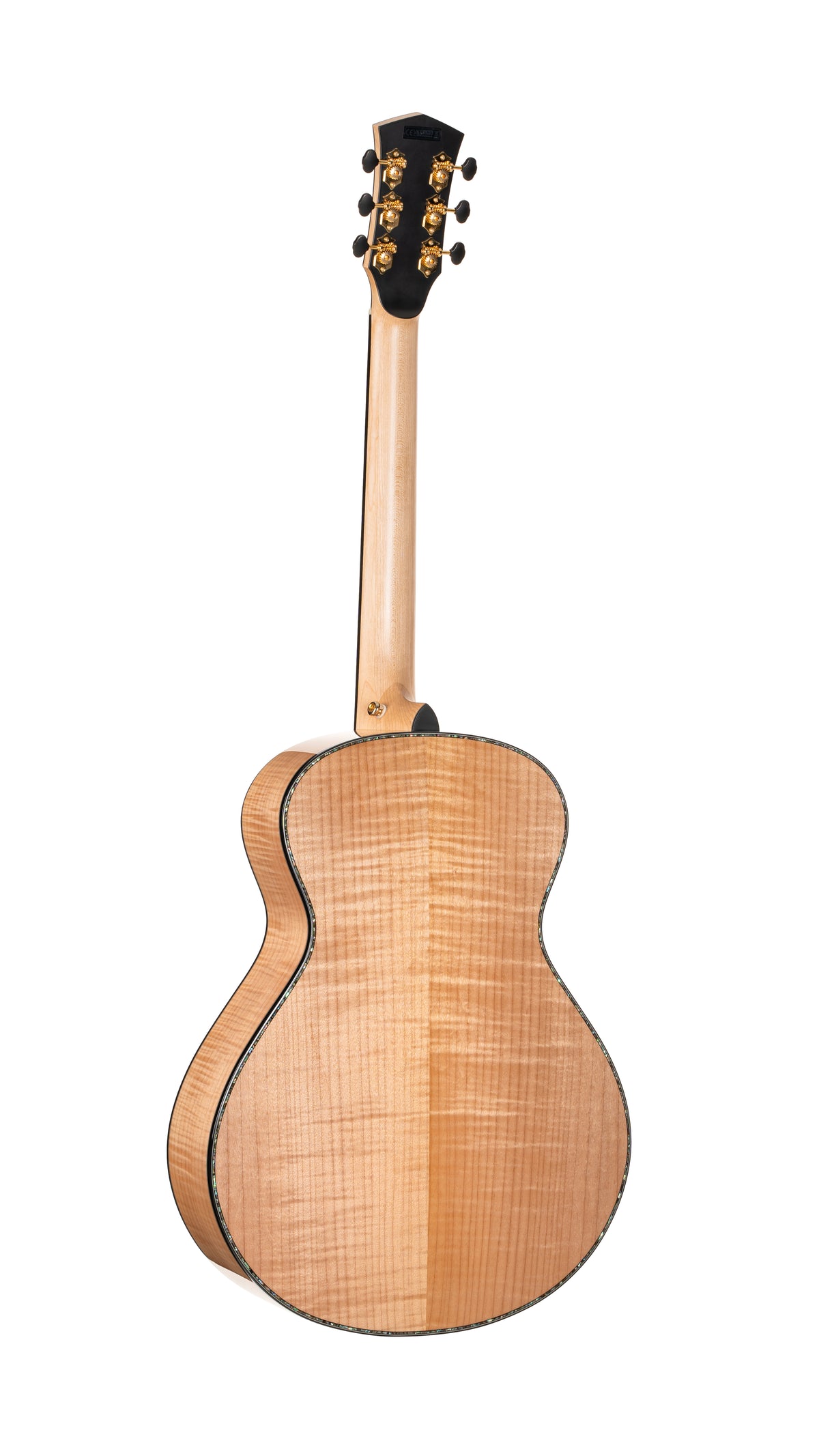 Cort Gold Passion Natural with Case