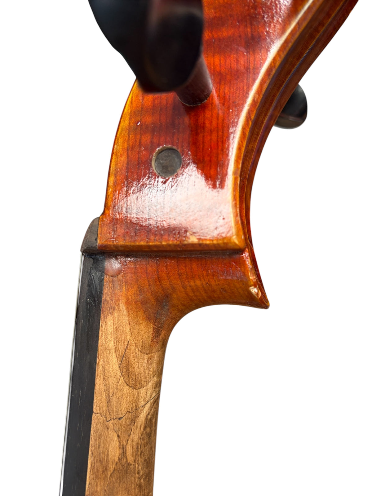 Hidersine Reserve Pianura Cello 4/4 B Stock