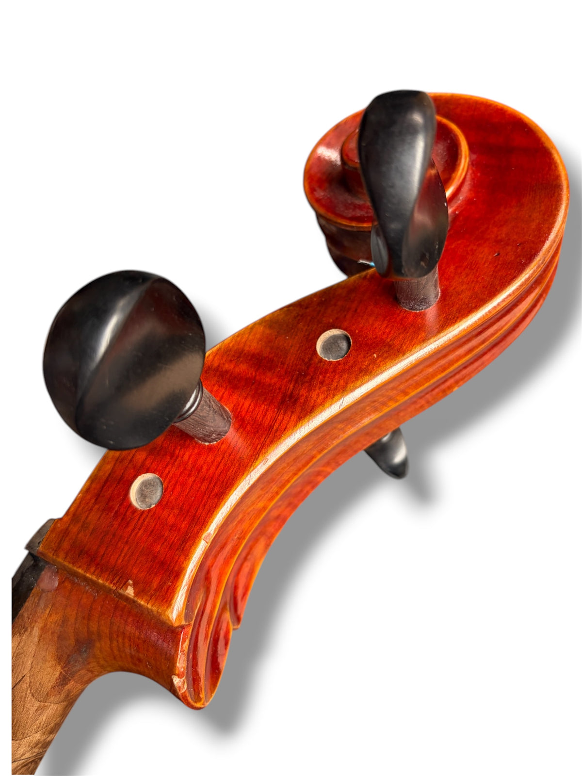 Hidersine Reserve Pianura Cello 4/4 B Stock