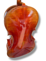 Hidersine Reserve Pianura Cello 4/4 B Stock