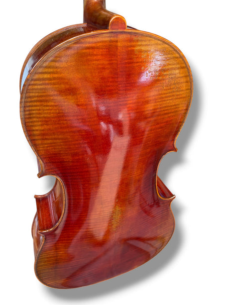 Hidersine Reserve Pianura Cello 4/4 B Stock