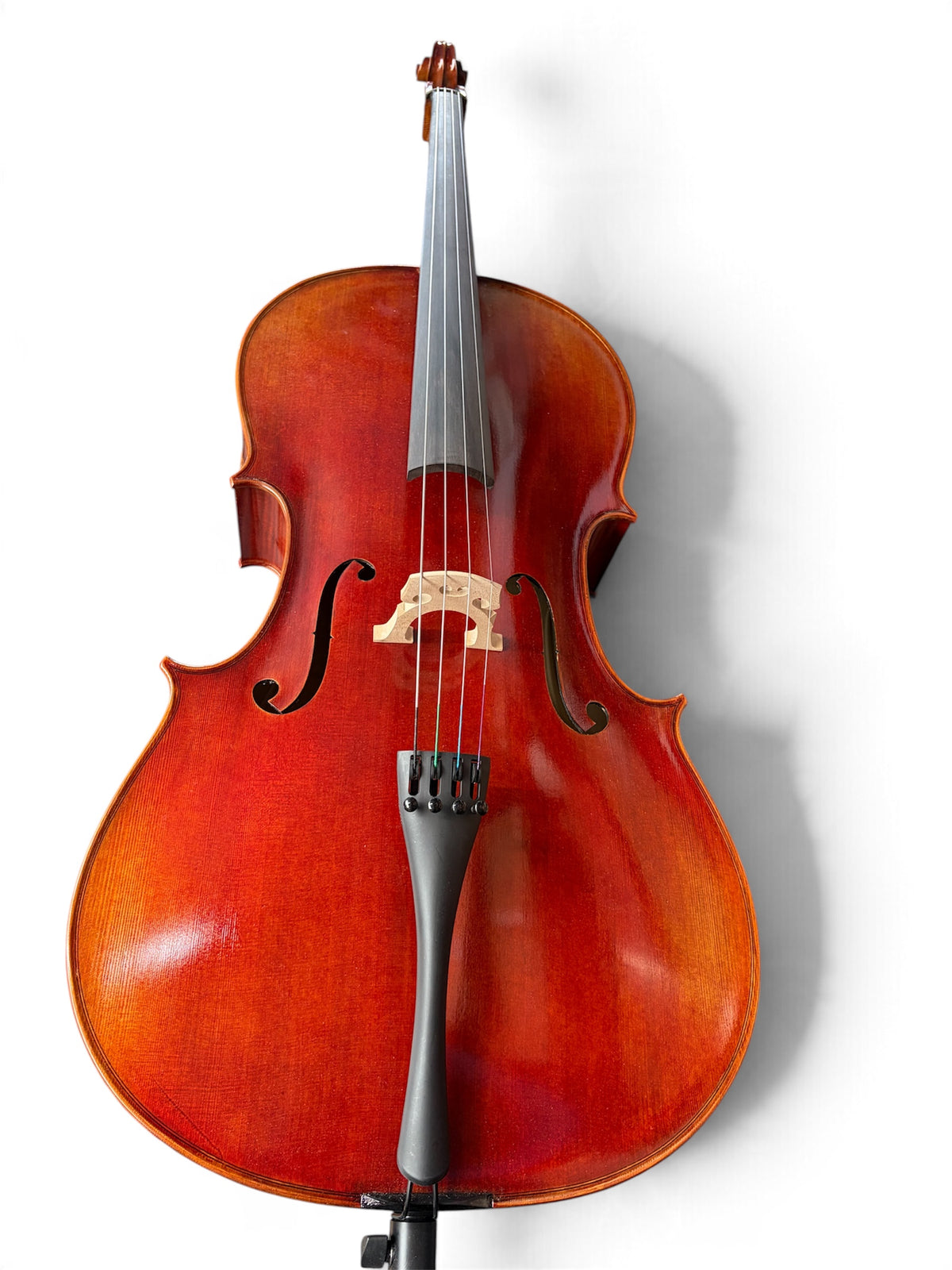 Hidersine Reserve Pianura Cello 4/4 B Stock