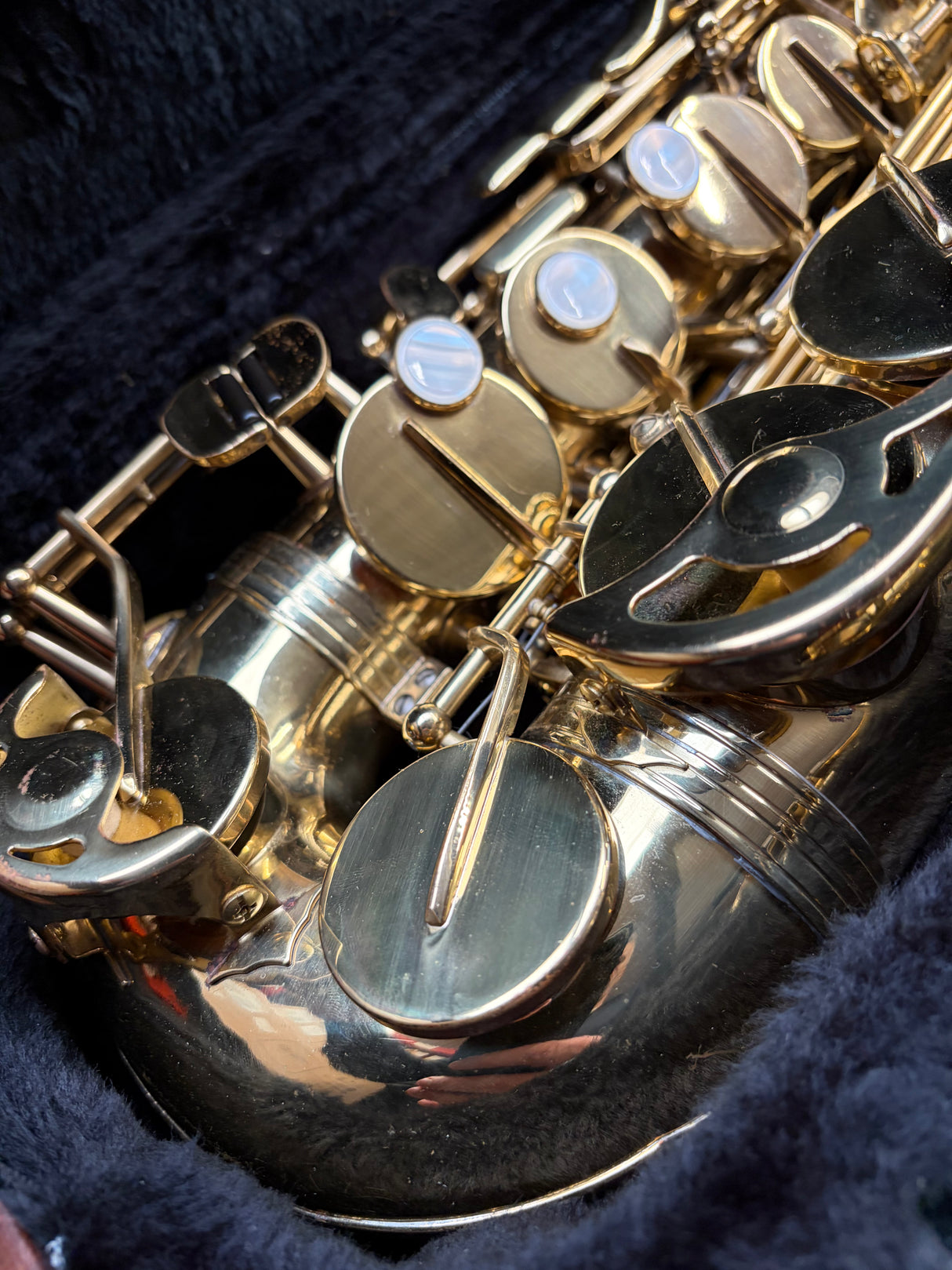 Trevor James The Horn Alto Saxophone