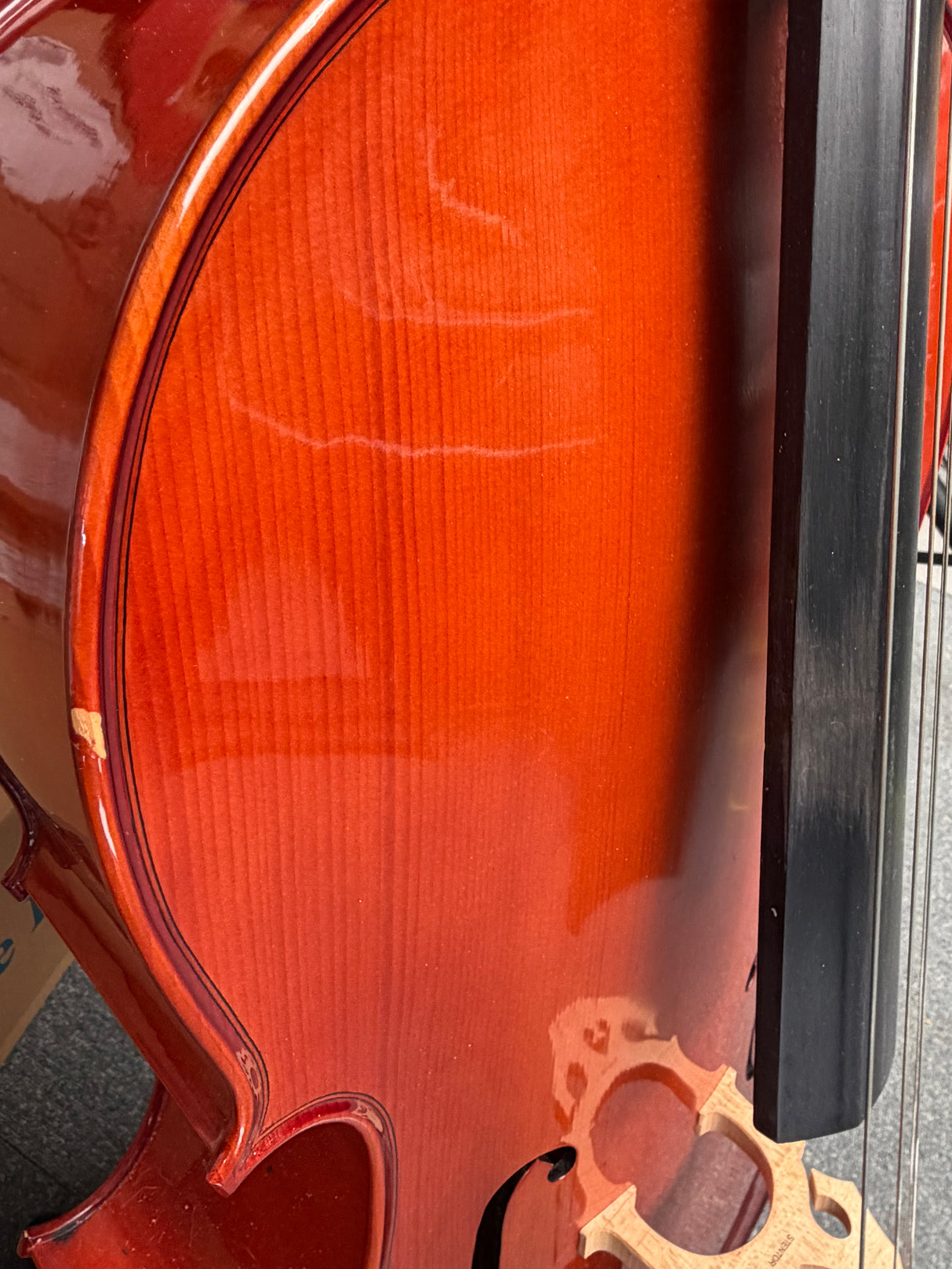 Stentor Cello Student 2 4/4